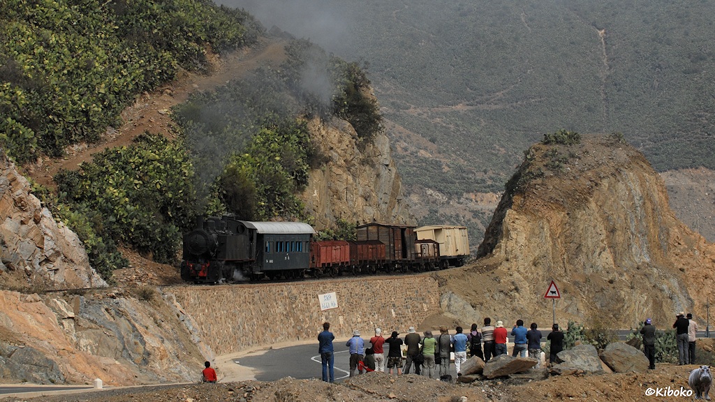 http://foto-kiboko.de/reise/eritrea2009/bilder/6/s670_bArbaroba_442-54_3952a.jpg