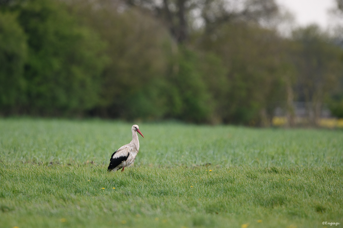 DSC_8224.jpg