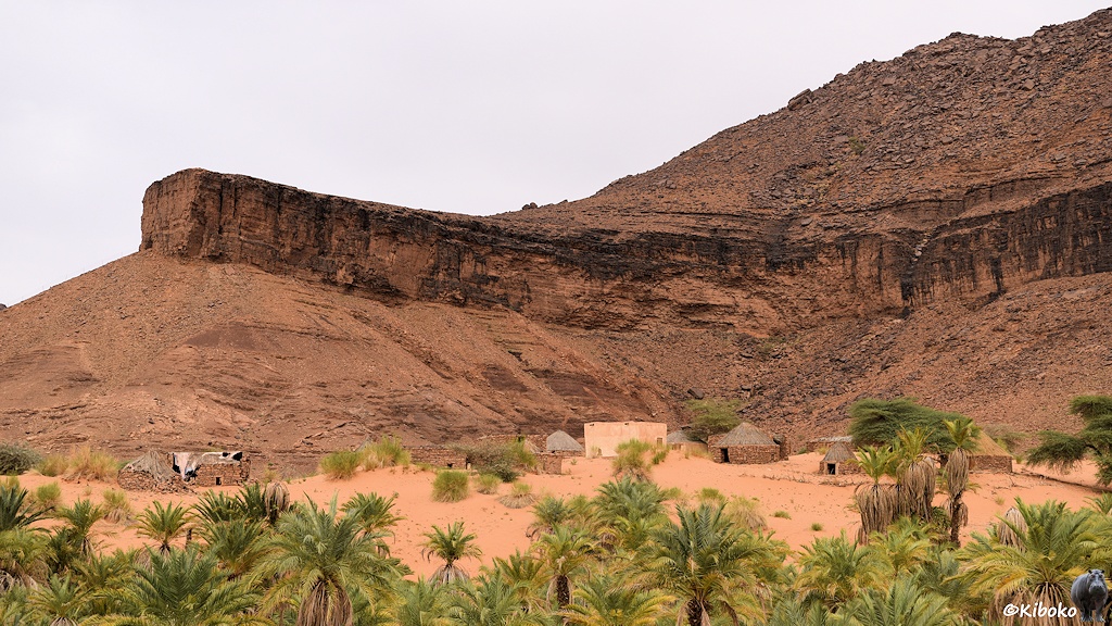 Das Bild zeigt eine Ansammlung von strohgedeckten Rundhäusern und einem hell verputzen kubischen Gebäude an einem Hang aus blasslachsfarbenen Sand. Im Vordergrund sind die Kronen von Palmen. Im Hintergrund ist ein Berg aus rotbraunem Geröll, dunklen Steinen und einer mittigen, senkrechten Abbruchkante aus dunklem Fels.