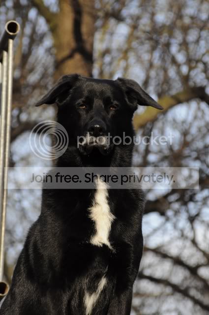 DSC_0076_hf.jpg