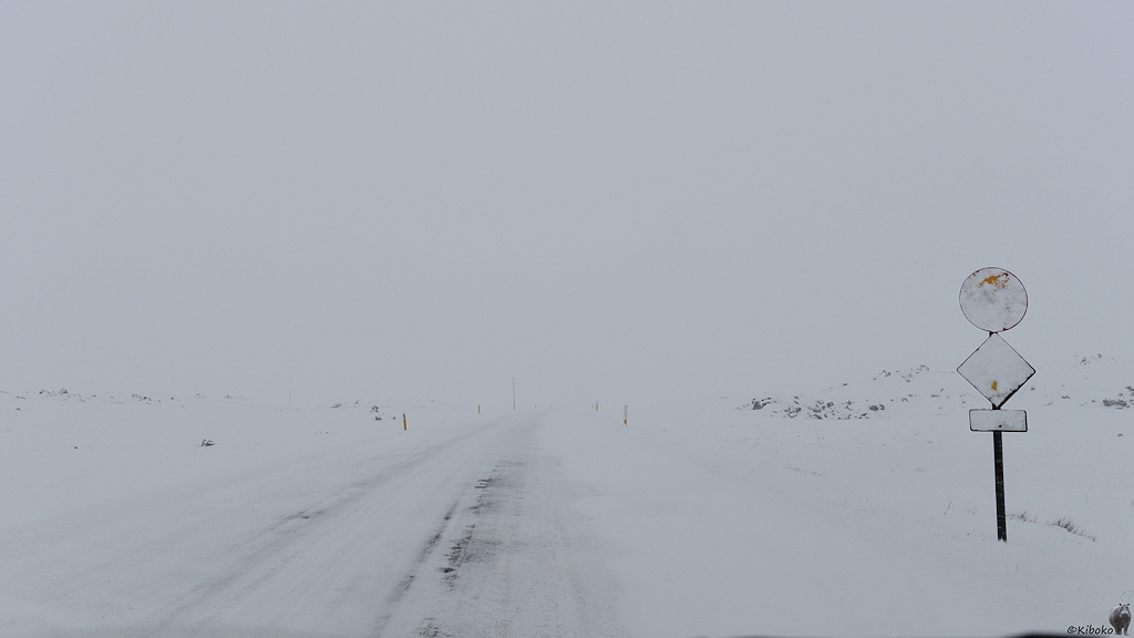 Das Bild zeigt eine verschneite Straße im Schneesturm. Die gelben Leitpfähle sind mit Schnee zugepappt. Am rechten Bildrand sind an einem Mast ein rundes, ein quadratisches auf der Spitze und ein kleines rechtwinkliges Schild. Die Schilder sind komplett mit Schnee bedeckt.
