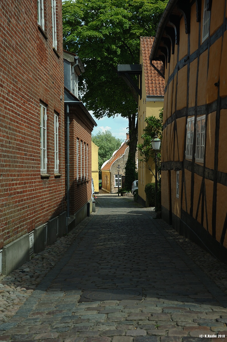 cK.R.-540DSC_0573.jpg