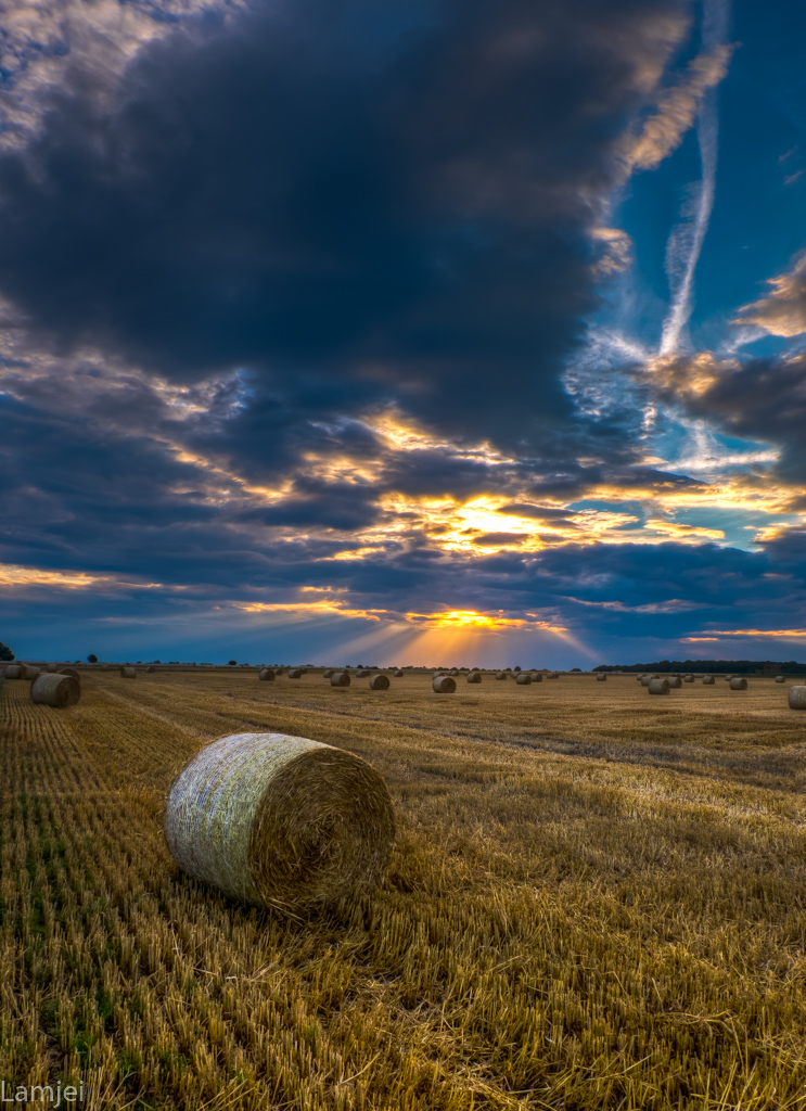 XT-20_694_5_6.jpg