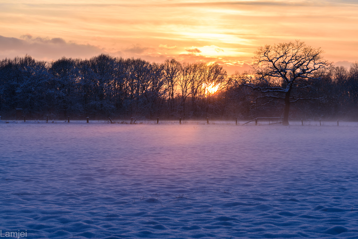 DSC_5284.jpg