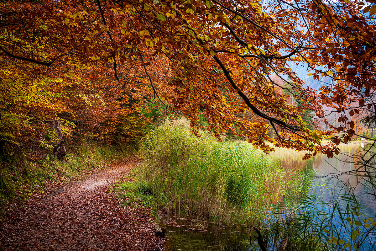 20201101_NZ7_0323NF.jpg