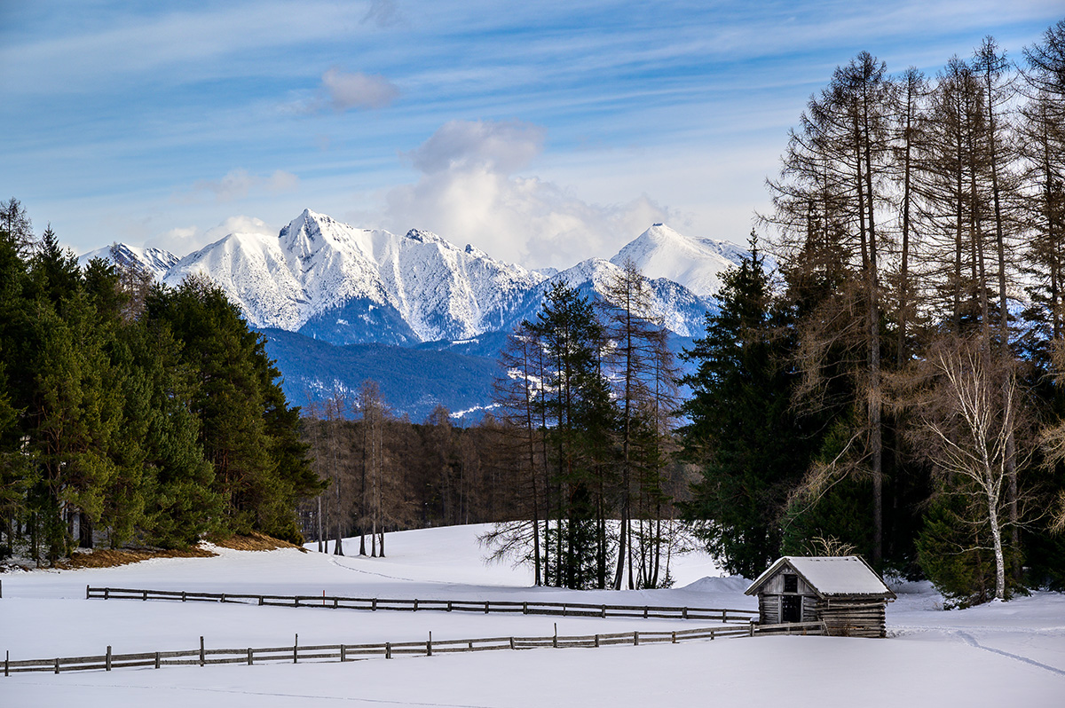 20210124_NZ6_2198NF.jpg