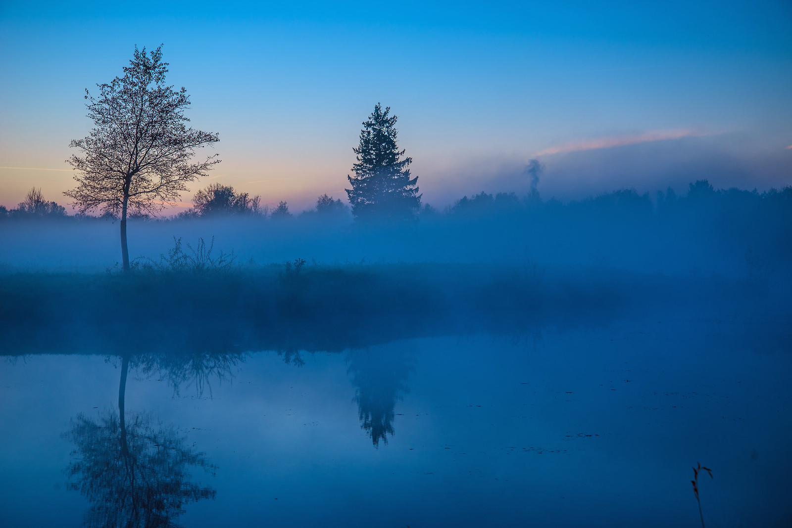 38494497246_bc307b30f5_h.jpg