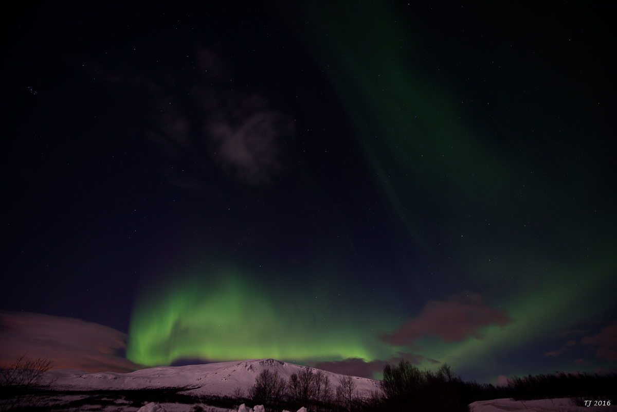 DSC_2634.jpg