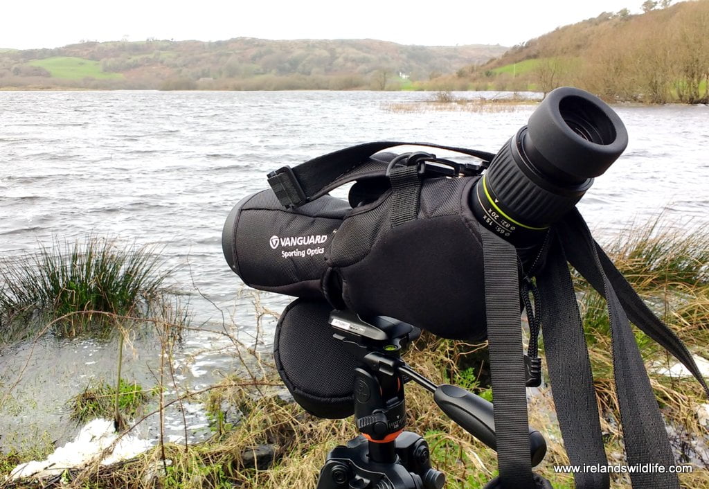 irelandswildlife.com
