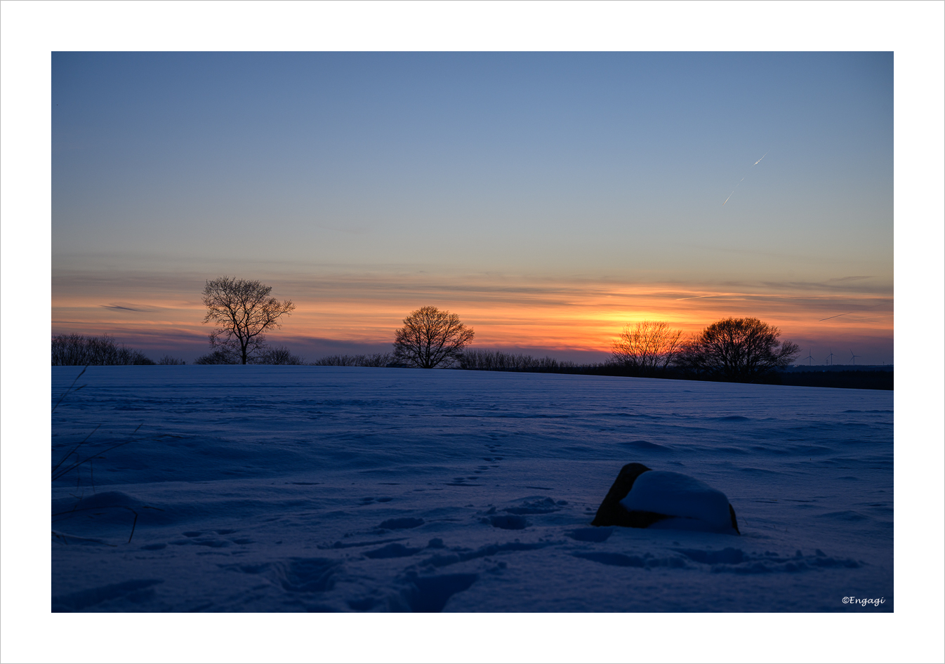 DSC_4129.jpg