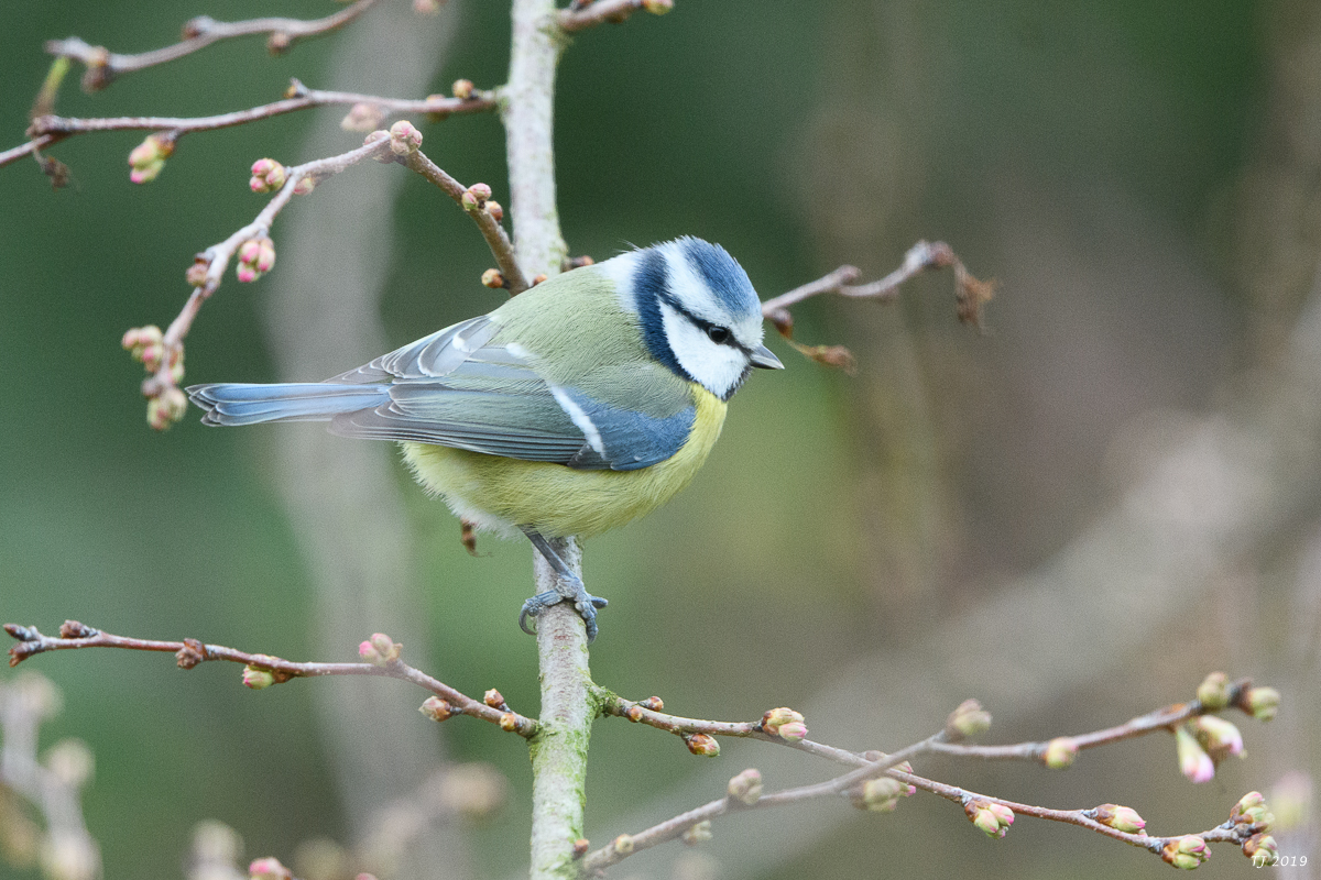 DSC_6873.jpg