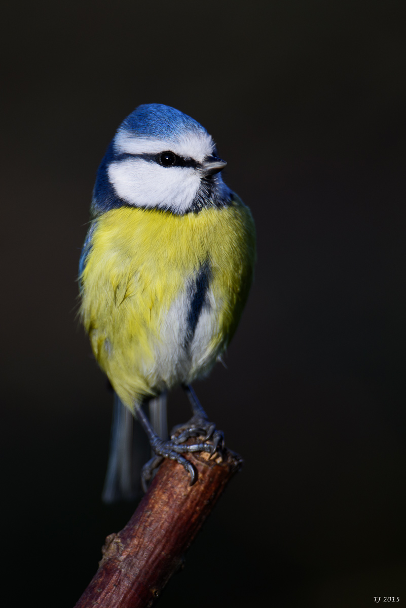 DSC_1770.jpg