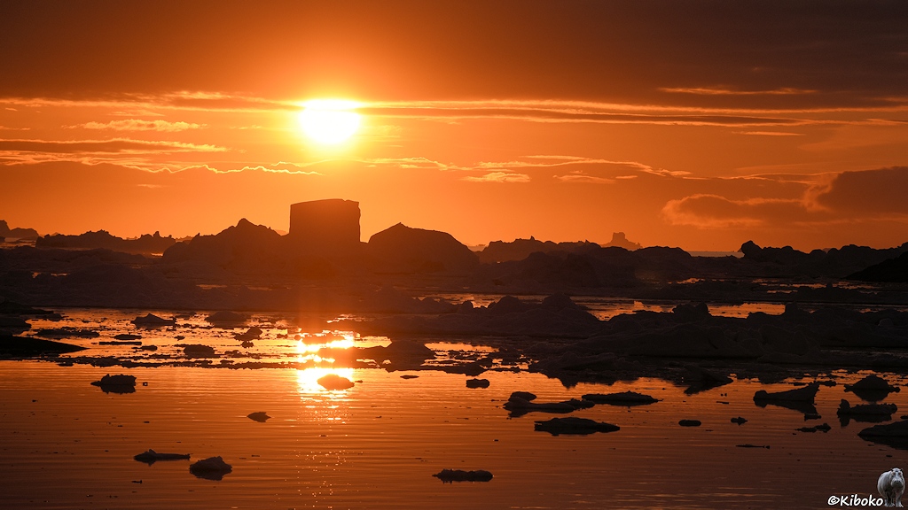 s395_Ilulissat-Eisberge_6144.jpg