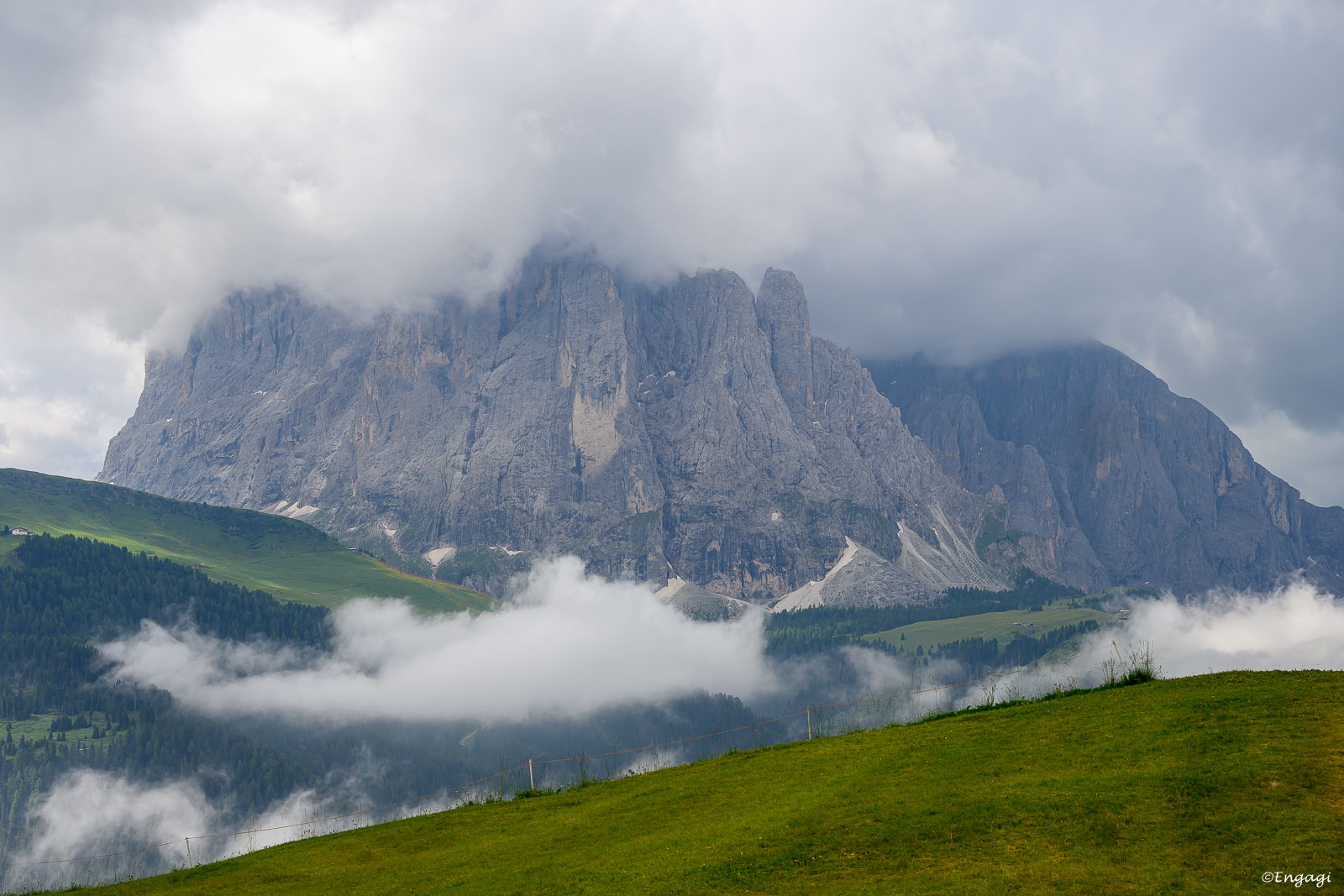 DSC_4573.jpg