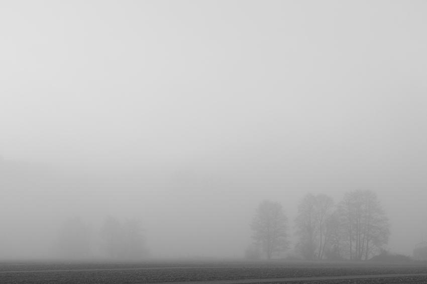 Morgennebel_7135.jpg