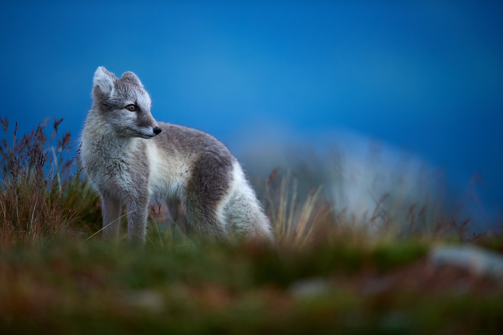 DSC_7143-XL.jpg