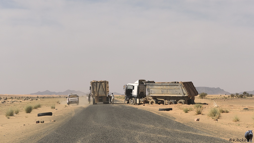 Das Bild zeigt eine schnurgerade Teerstraße. Rechts steht ein Kippersattelzug mit eingegrabenen Rädern im Sand neben der Straße. Ein weiter LKW steht auf der Straße und versucht den LKW aus dem Sand zu ziehen.