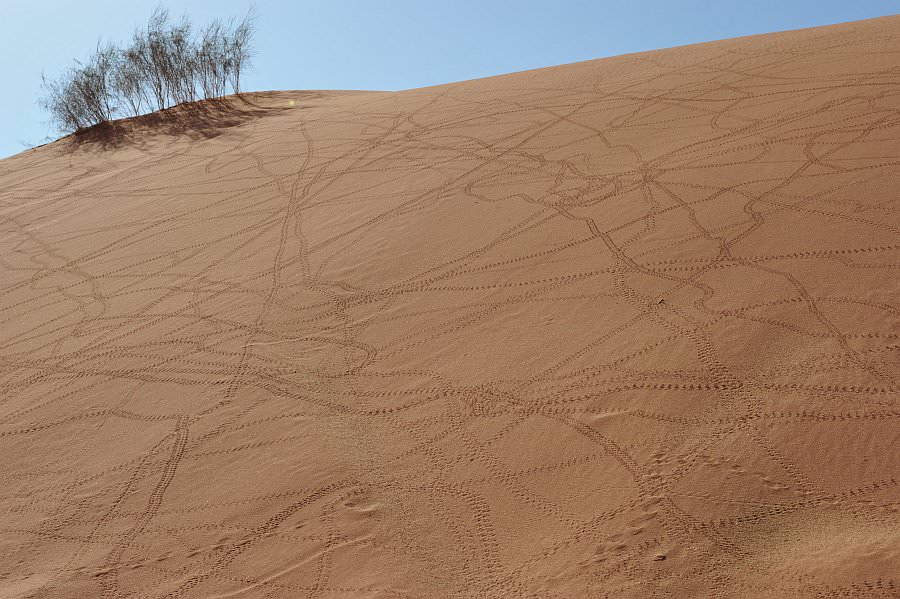 jordanien13_312.jpg
