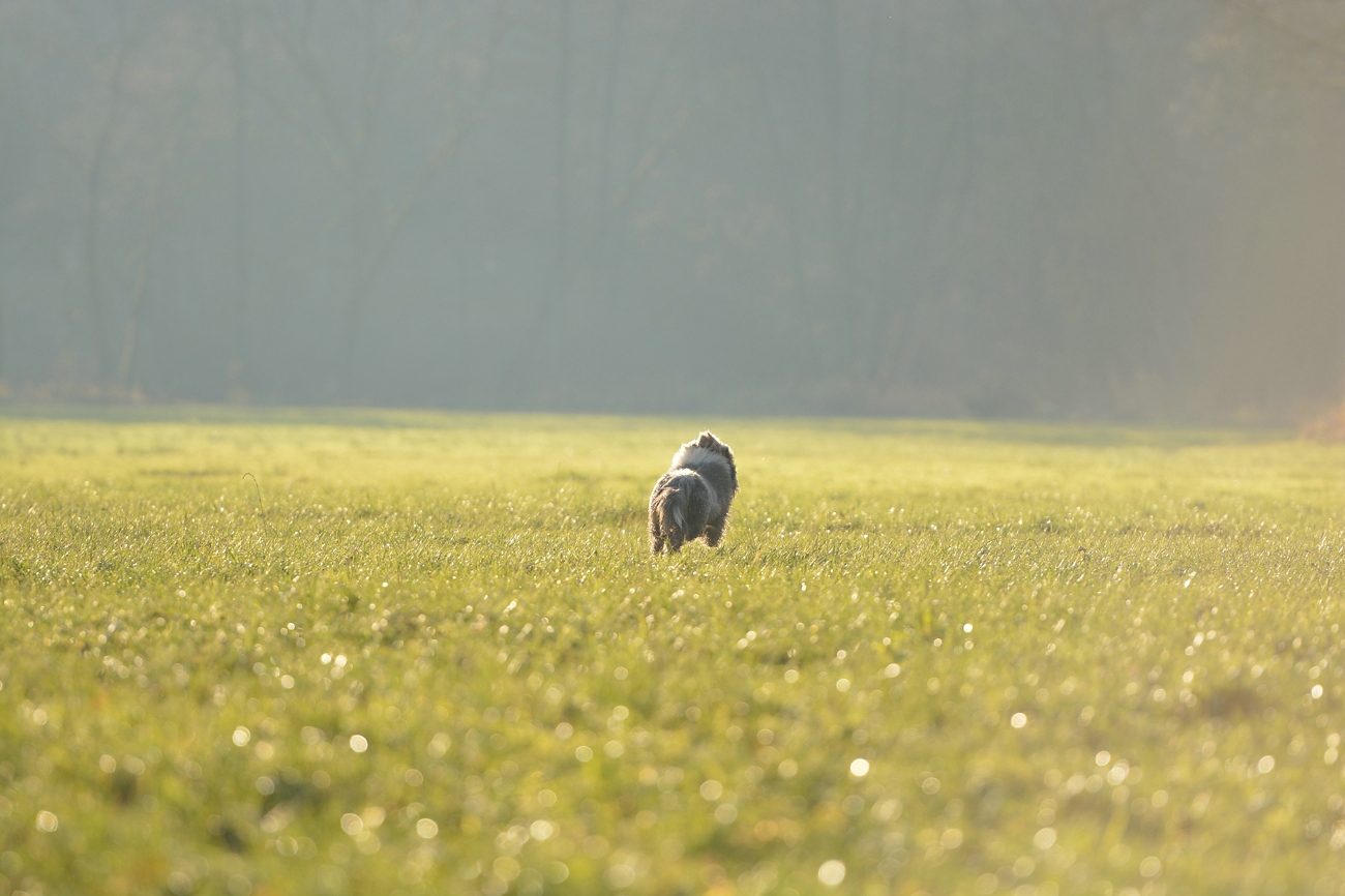 _dsc_0910.jpg