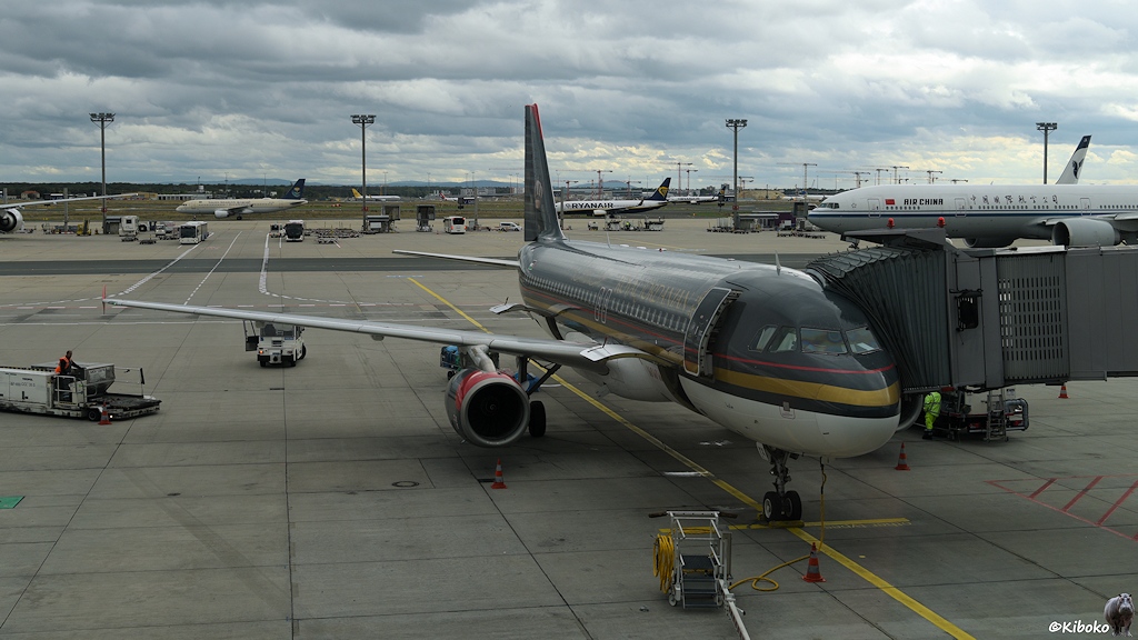 Flugzeug der Royal Jordanian