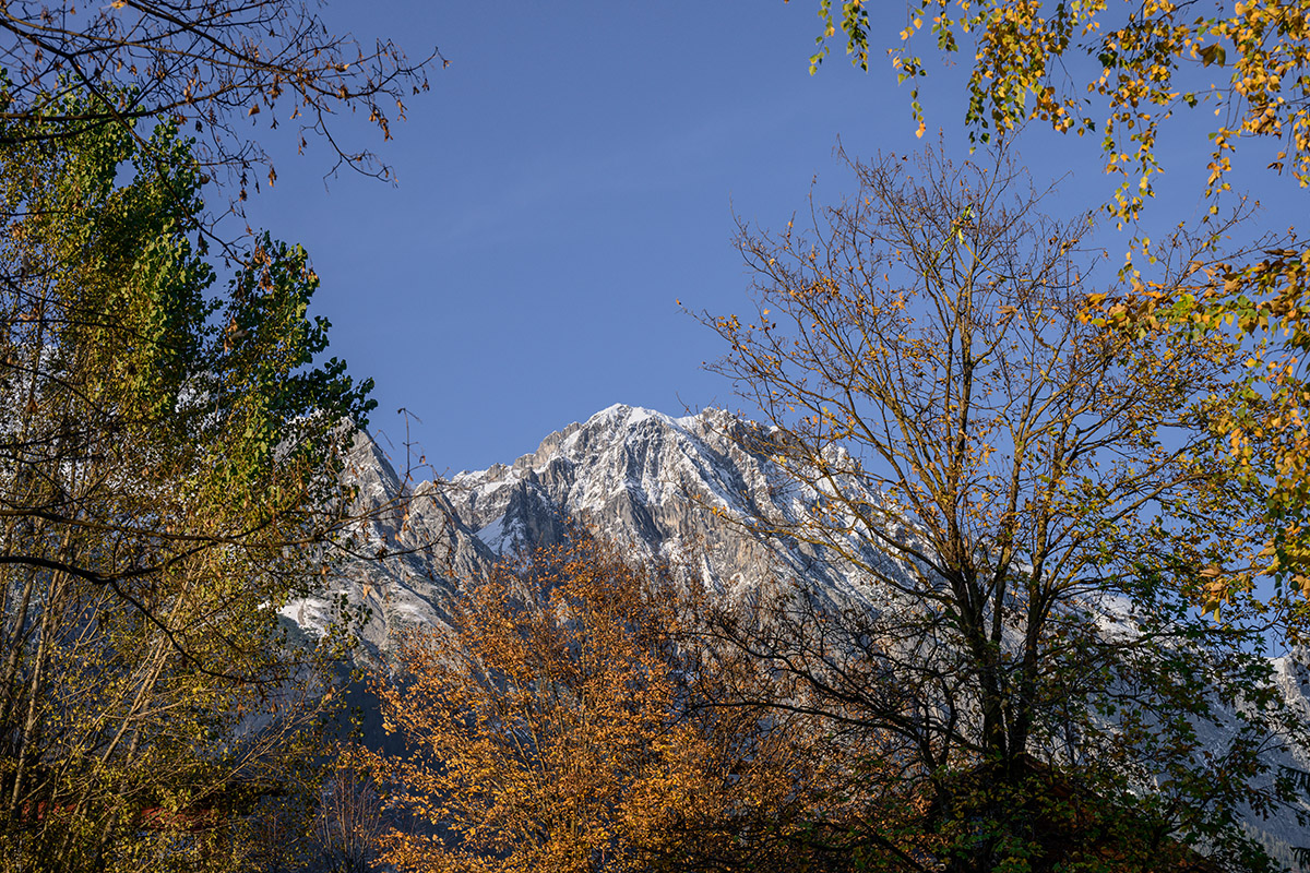 20201028_NZ7_2522NF.jpg