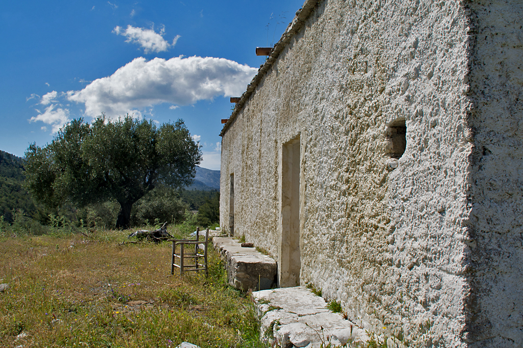 DSC_0124.jpg