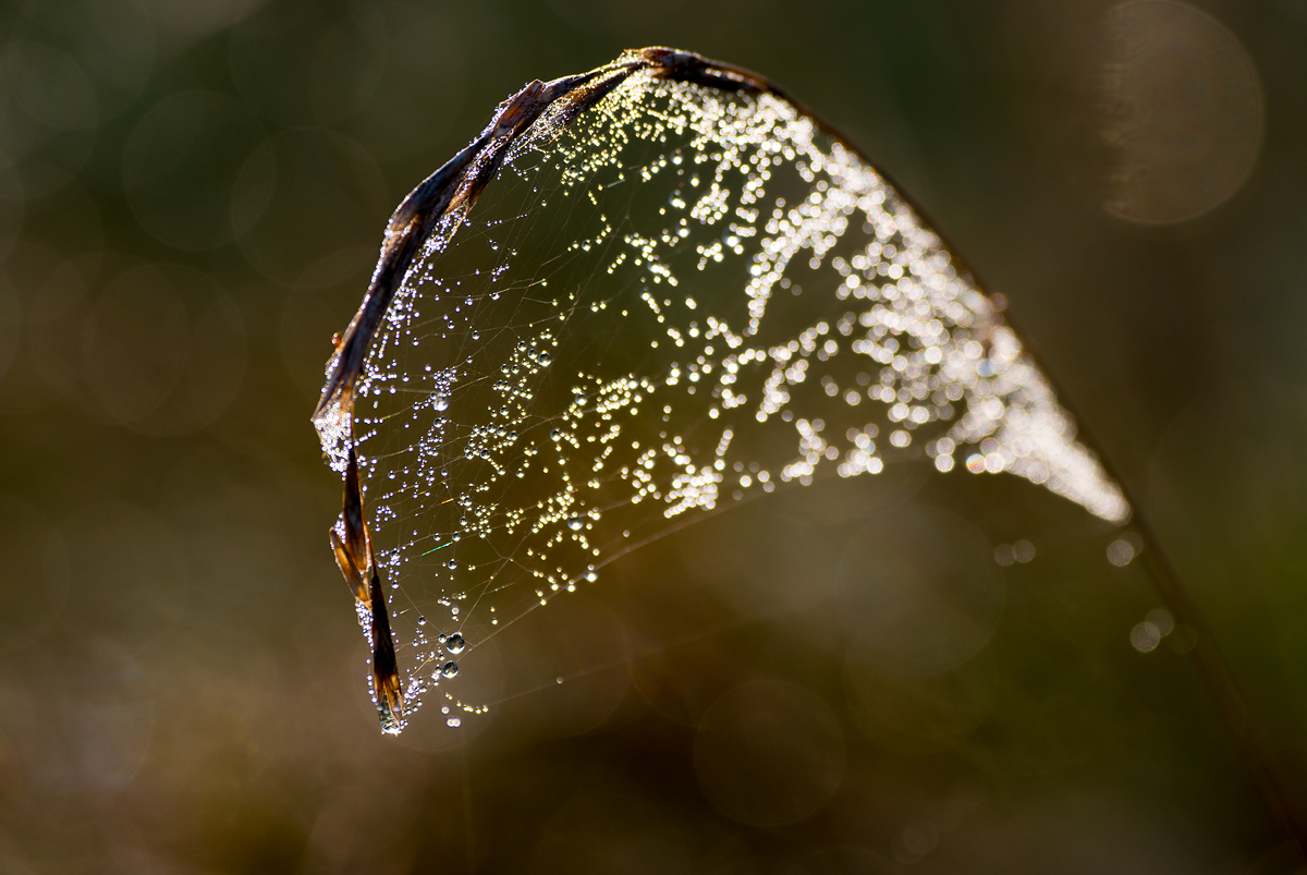 2014_11_02_095545_meb_3410.jpg