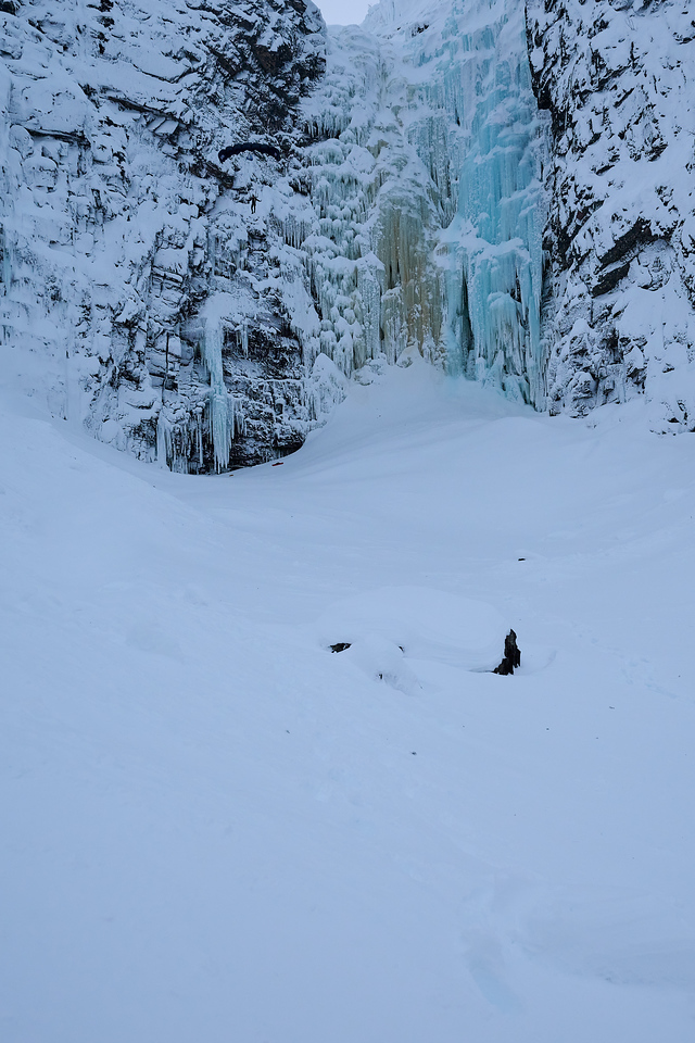 DSC_2838-X2.jpg