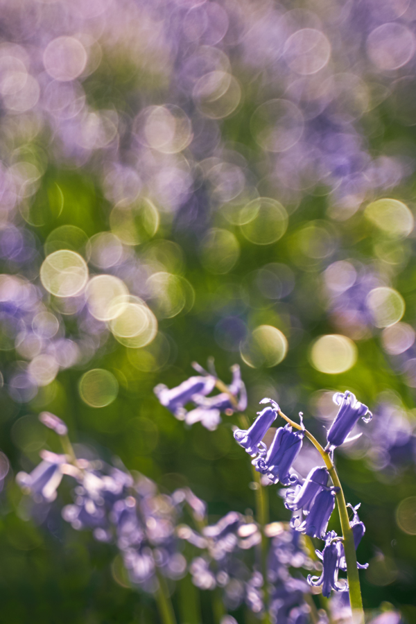 A7_05828_c1.jpg