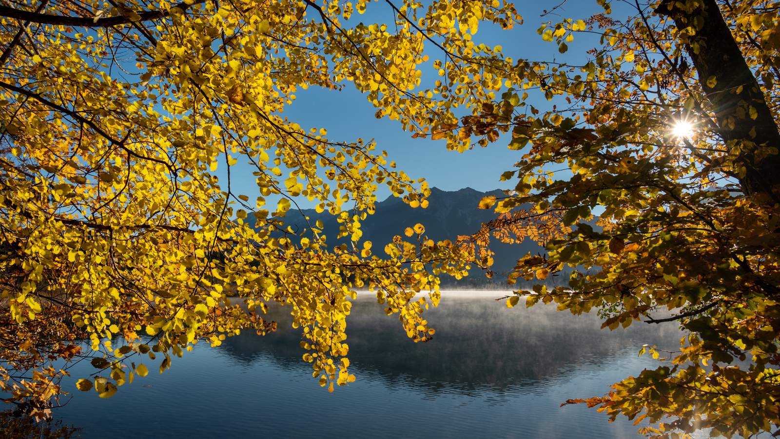 DSC_4291.jpg