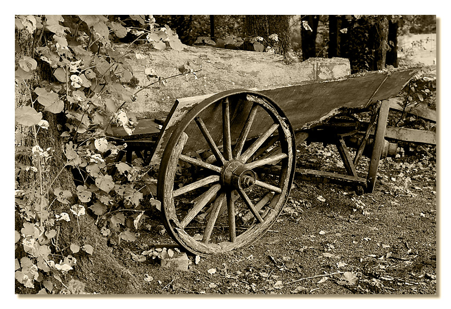 Pferdewagen_6173.jpg