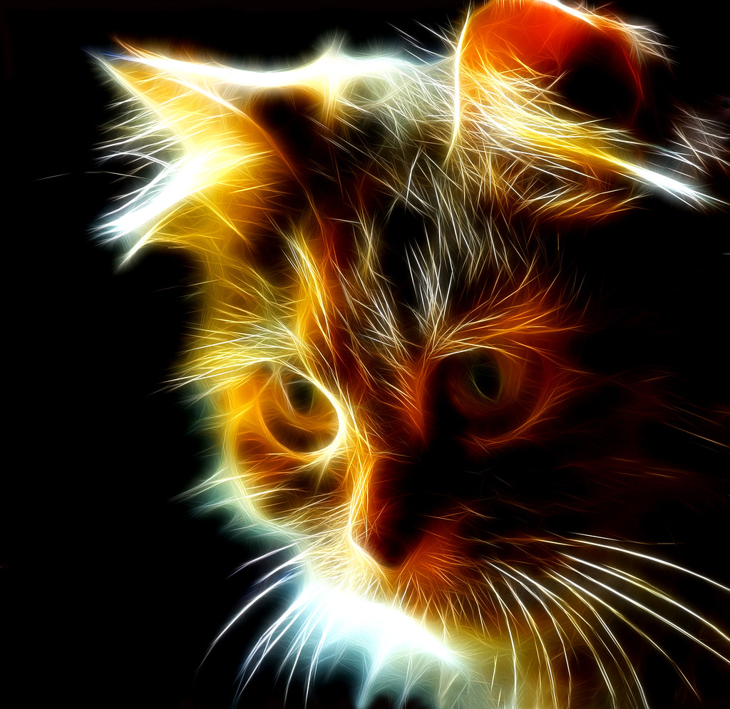 4054129750_da2ab1ae03_b.jpg