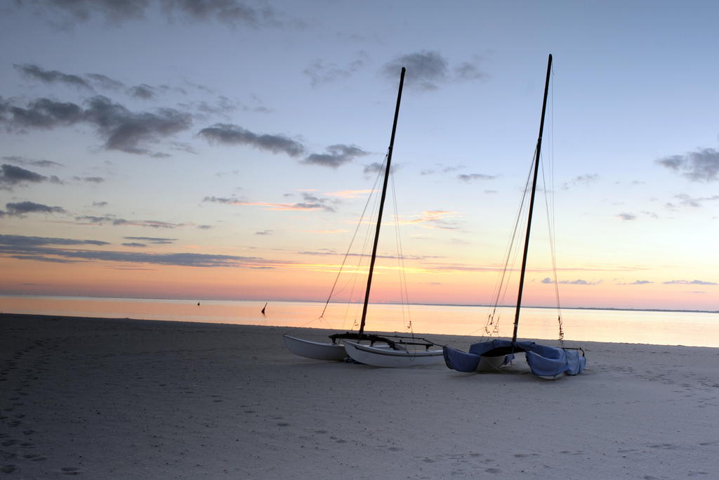 19602980nz.jpg