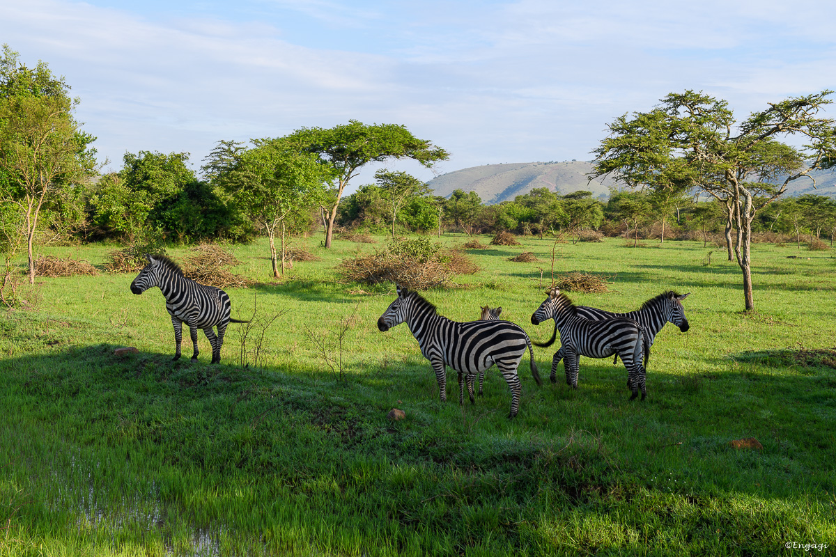 Uganda%202240.jpg