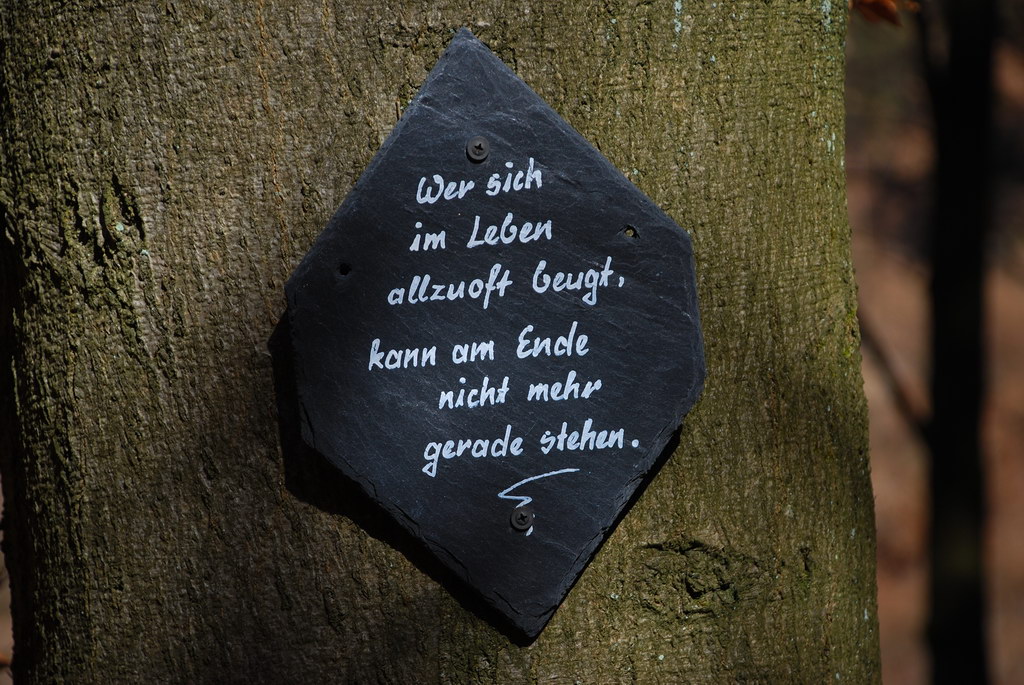 NATUR2.JPG