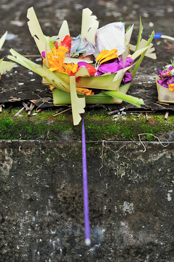 _DSC3606_web.jpg