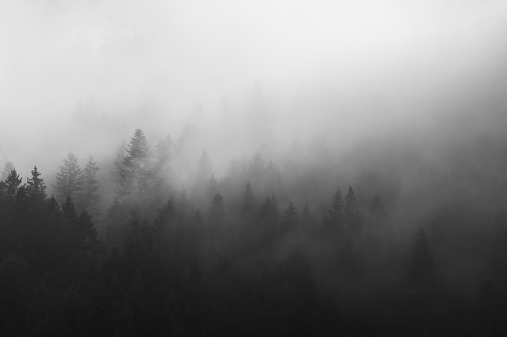 11053825533_d266725c34_o.jpg
