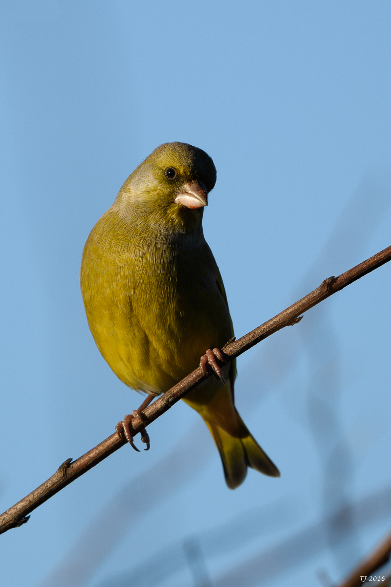 DSC_0142.jpg