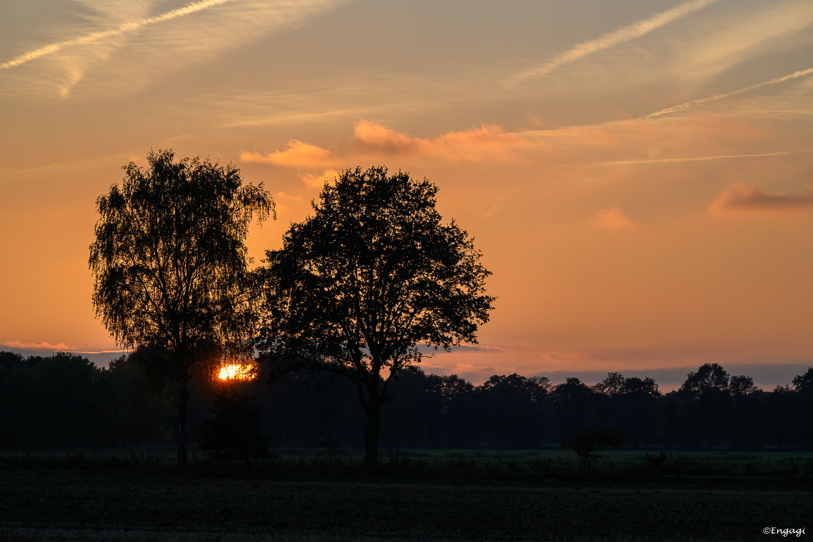 DSC_0671.jpg