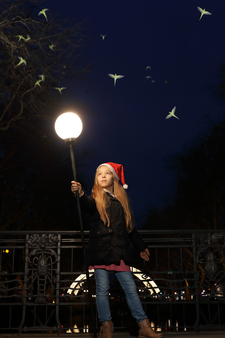 Birdhandler_9196_720wide.jpg