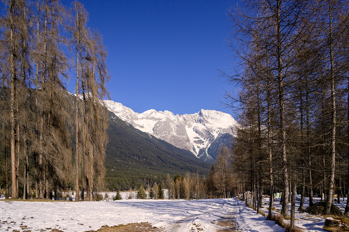 20210110_NZ6_0724NF.jpg