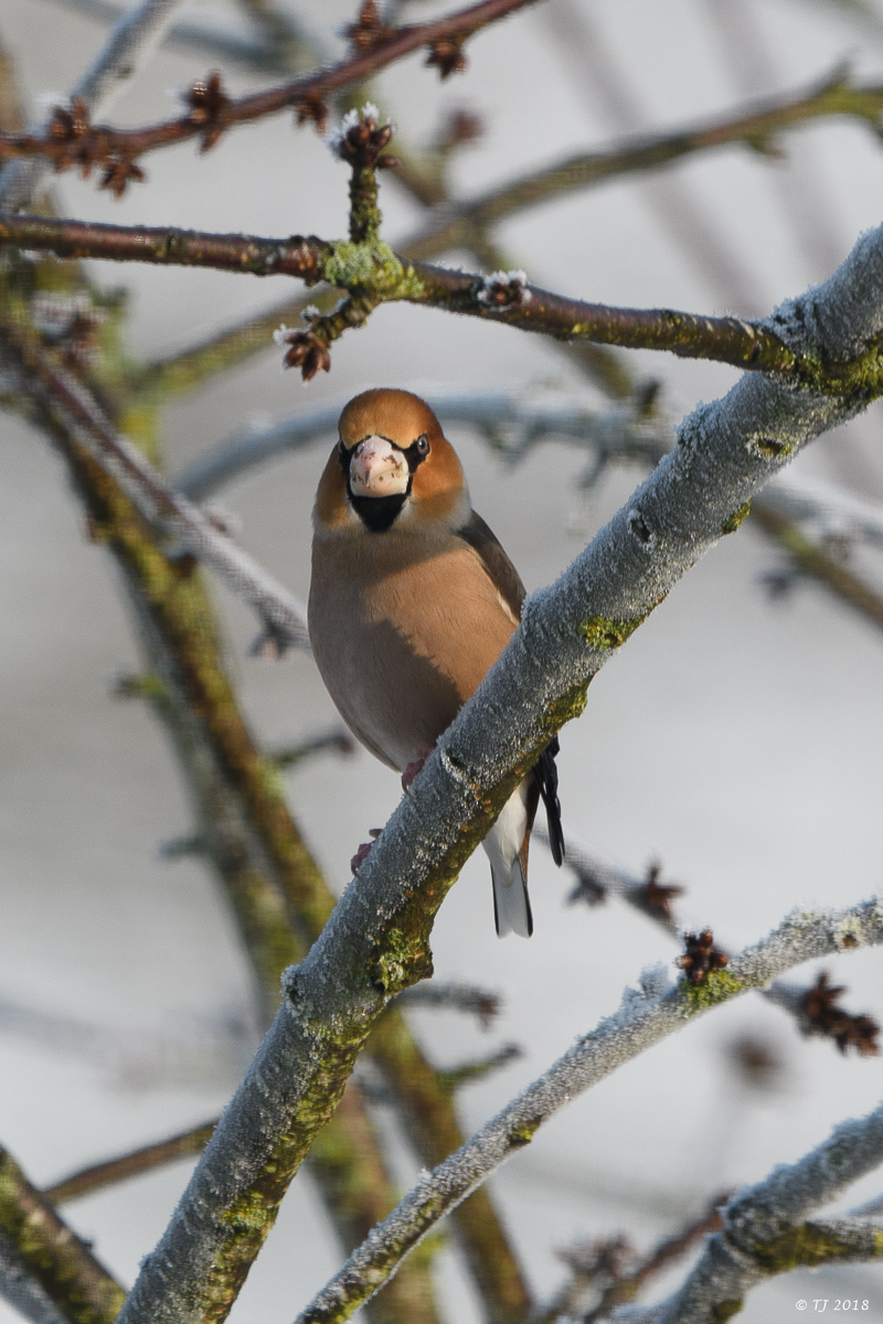 DSC_3426.jpg