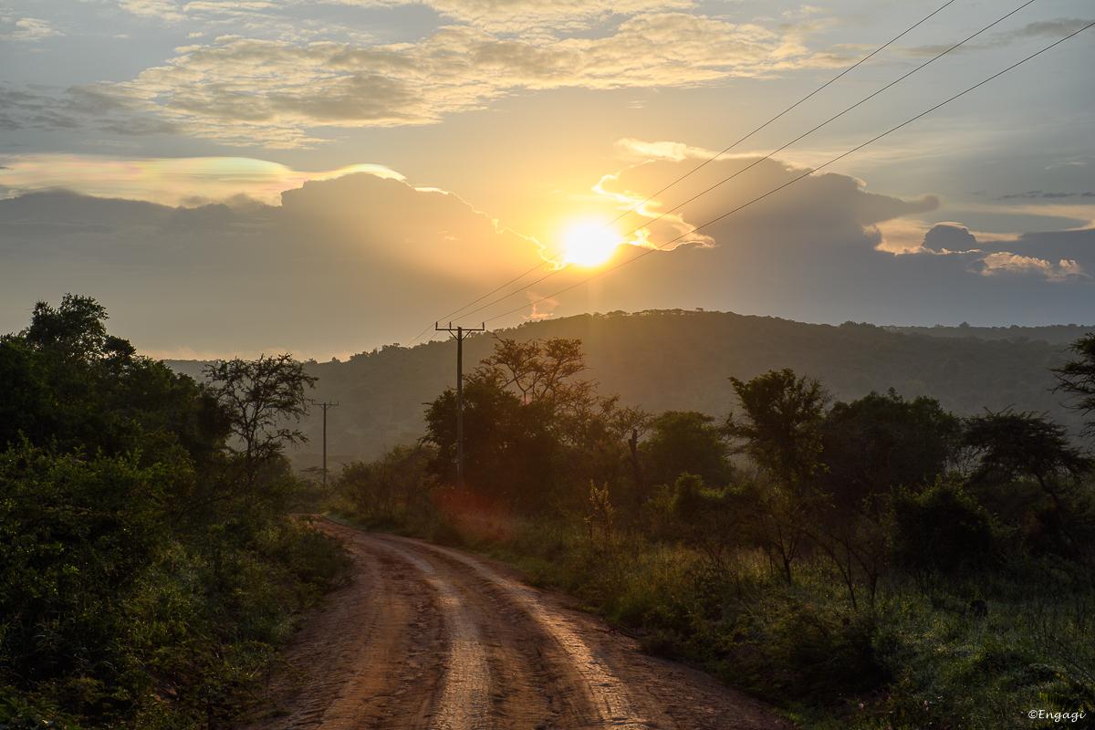 Uganda%202144.jpg