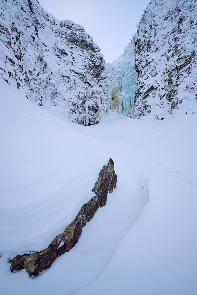 DSC_2912-X2.jpg