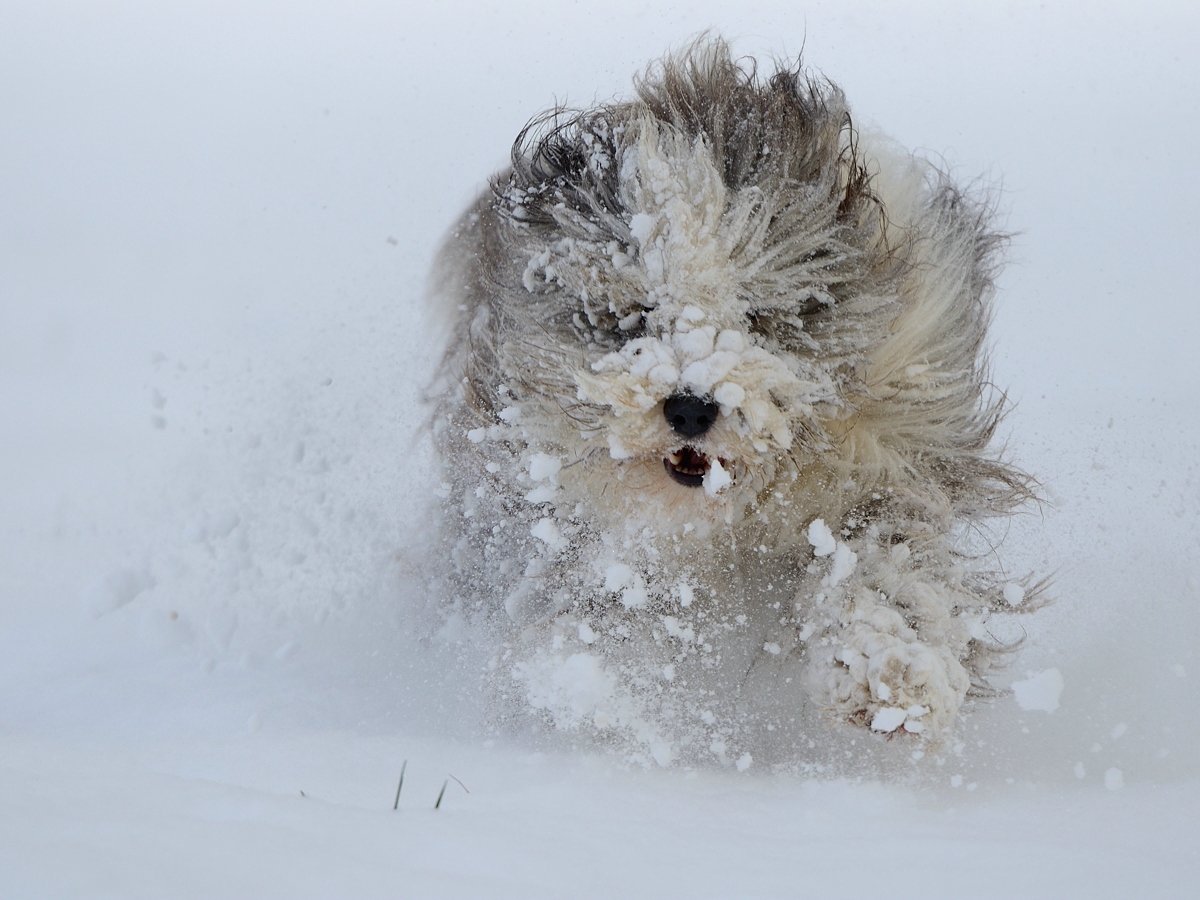 _DSC_2070.jpg
