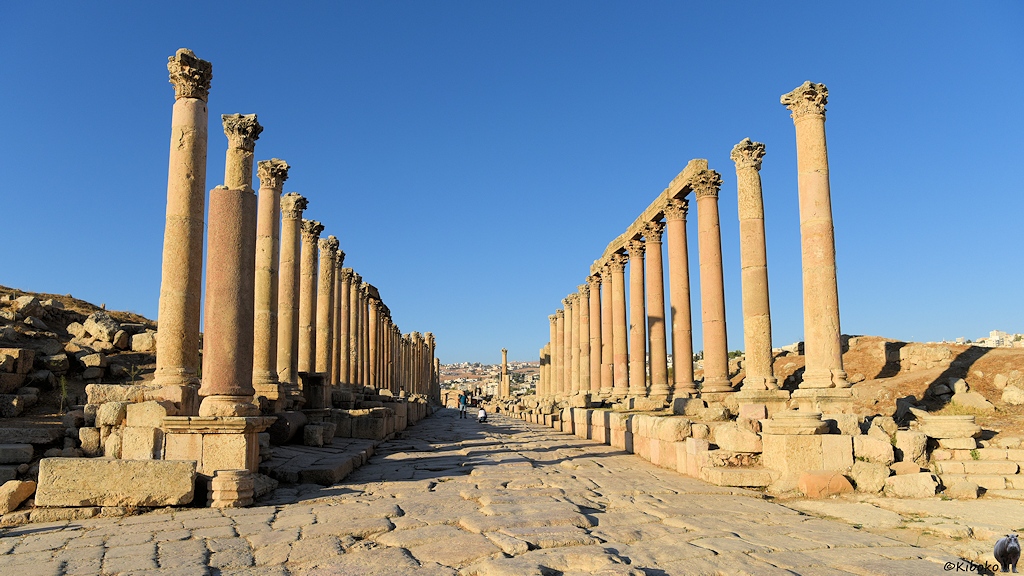 Säulen flankieren den mit großen Steinen gepflastert Cardo
