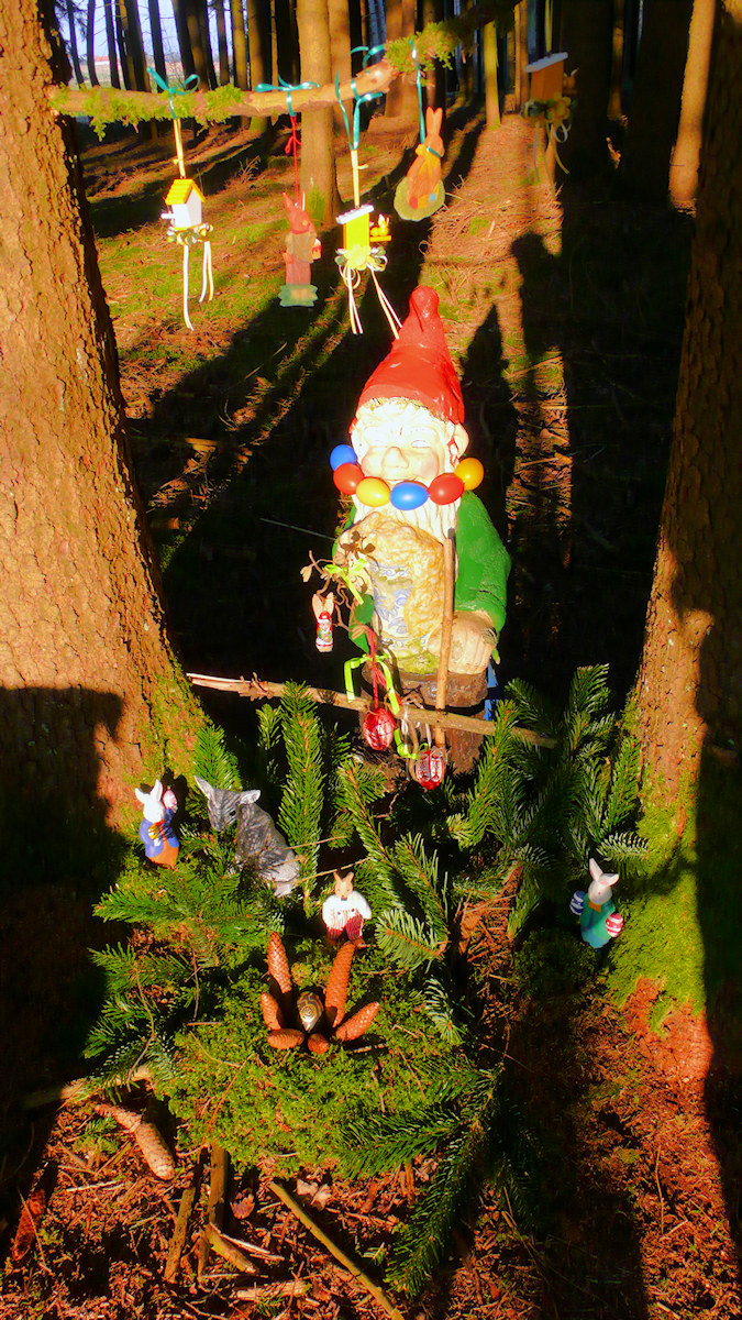 DSC_9044598e3.jpg