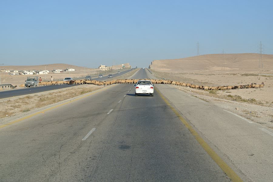 jordanien13_168.jpg