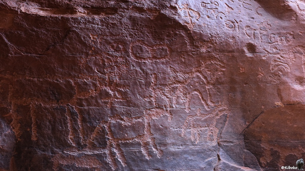 Tierdarstellungen in Stein gemeißelt