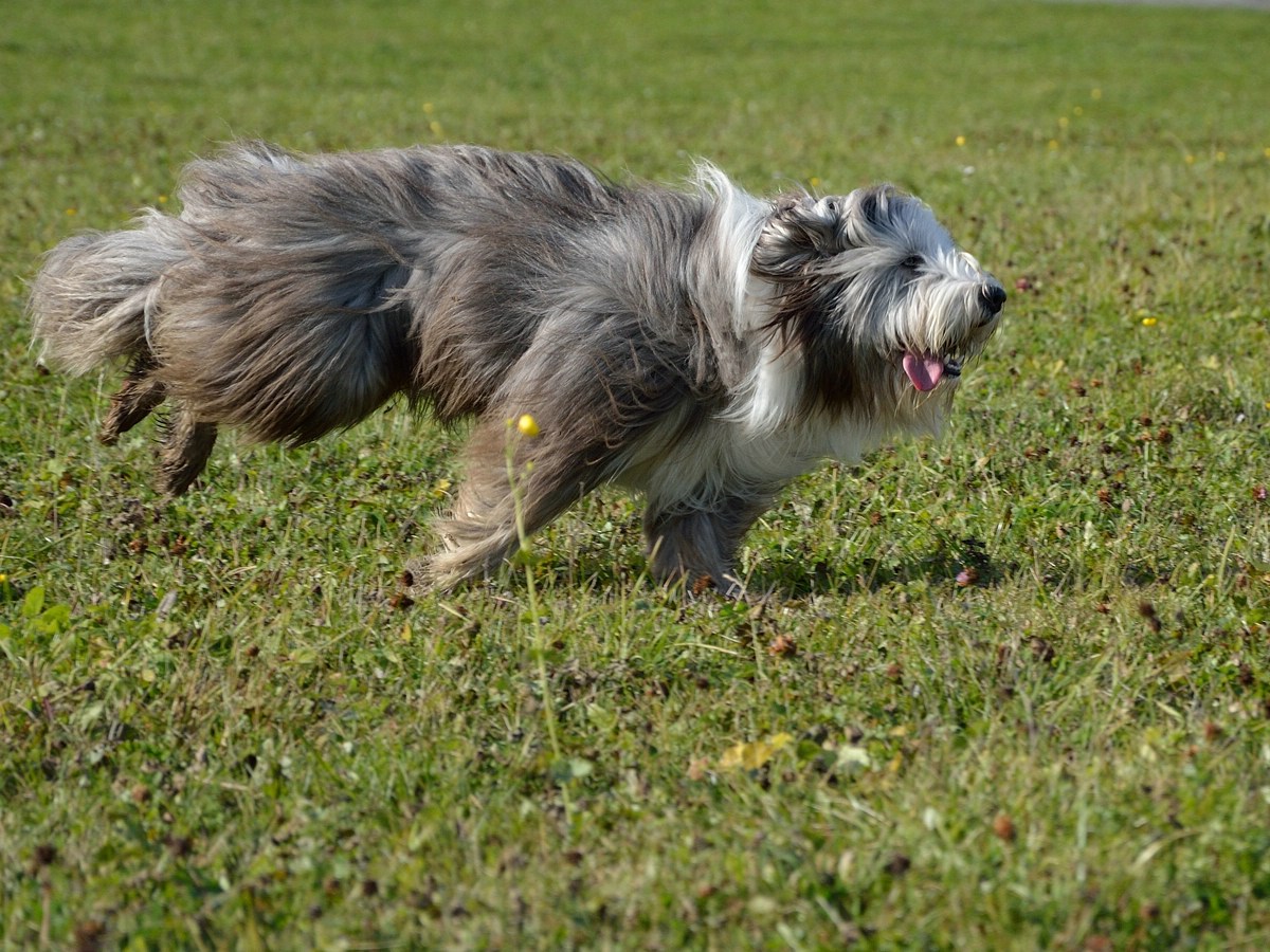 c_dsc_0312.jpg